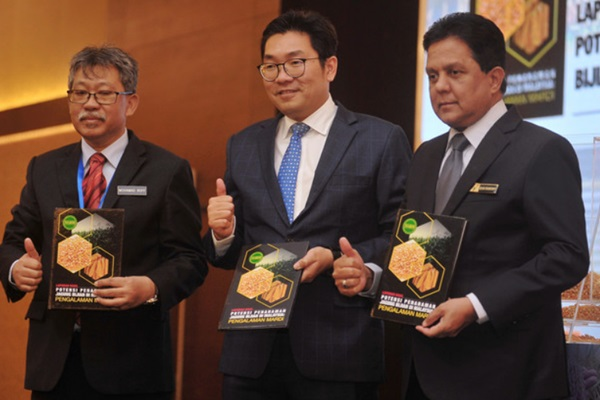 Malaysia Has To Step Up Grain Corn Production