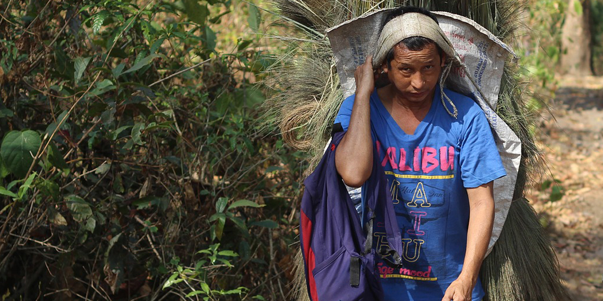 Desperate Venezuelan migrants turn to Colombia coca plantations
