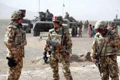 Afghan Forces Kill 23 Militants In 24 Hours