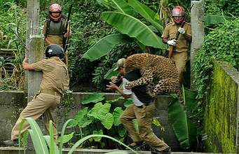 Leopard Attacks Six Persons Including Forest Officer In India