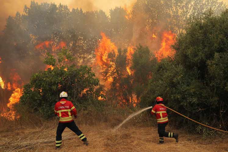 German Fire Department Fights Large Forest Fire Near Berlin