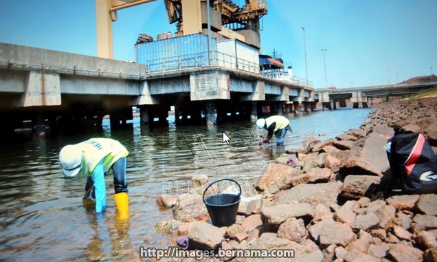 Mara Corp-Lynas MoU inked without approval – Mara