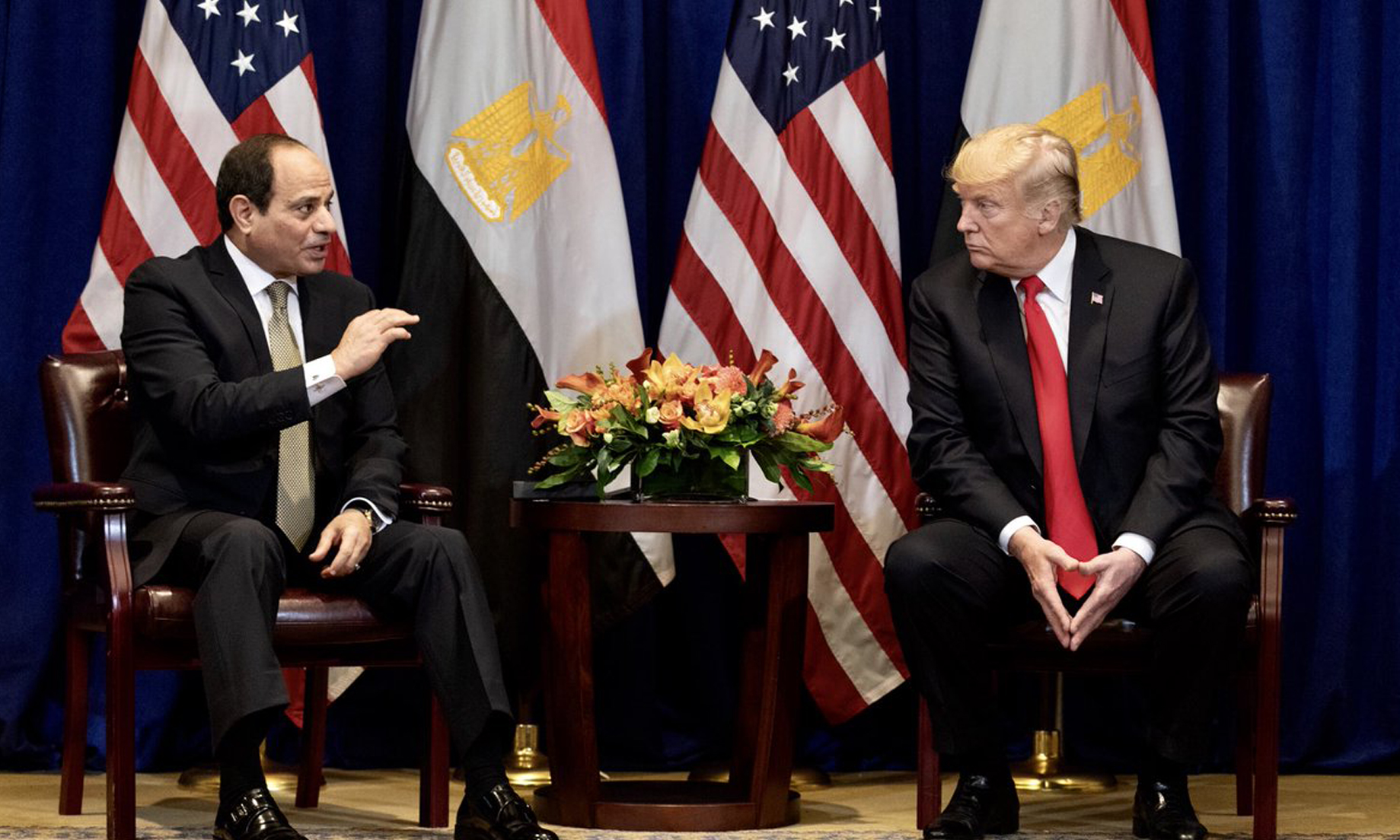 Trump hails ‘Great President’ Al-Sisi during White House meeting