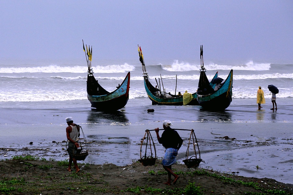 Bangladesh bans fishing for 65 days to save fish