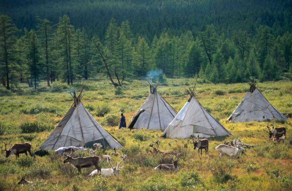 Mongolia To Host Reindeer Festival To Attract Tourists