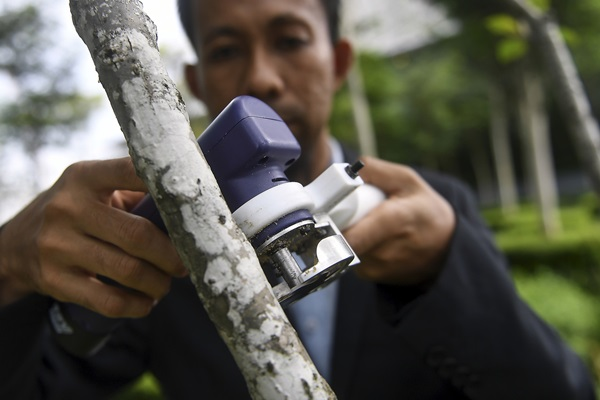 e-Notch: innovation to assist rubber tappers