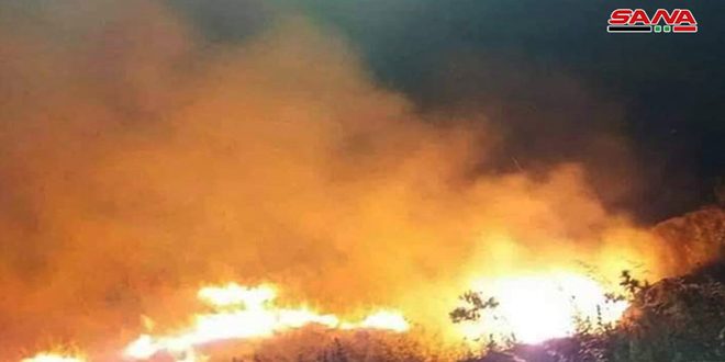 Israeli Occupation Authorities Commit Arson In Occupied Golan That Extended To Liberated Areas