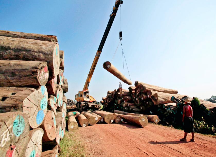 Myanmar Seizes Illegal Timbers In Yangon Outskirts