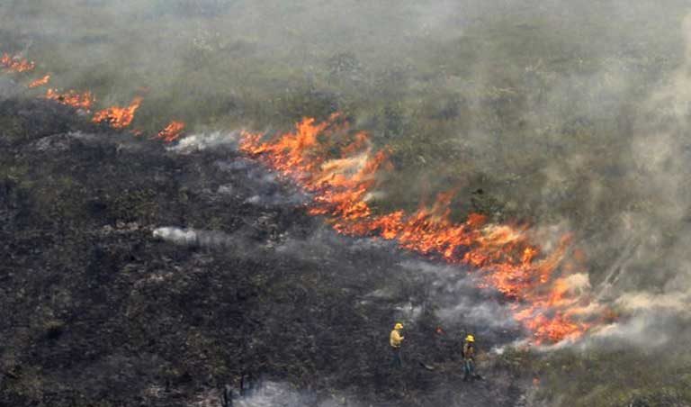 Forest Fires In Brazil Up 82 Percent In 2019