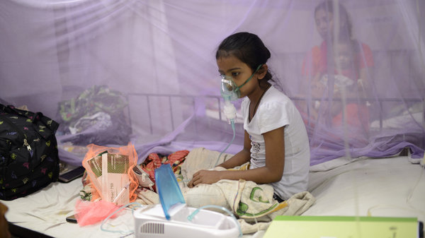 More Than 60,000 Cases Due To Dengue Reported In Bangladesh