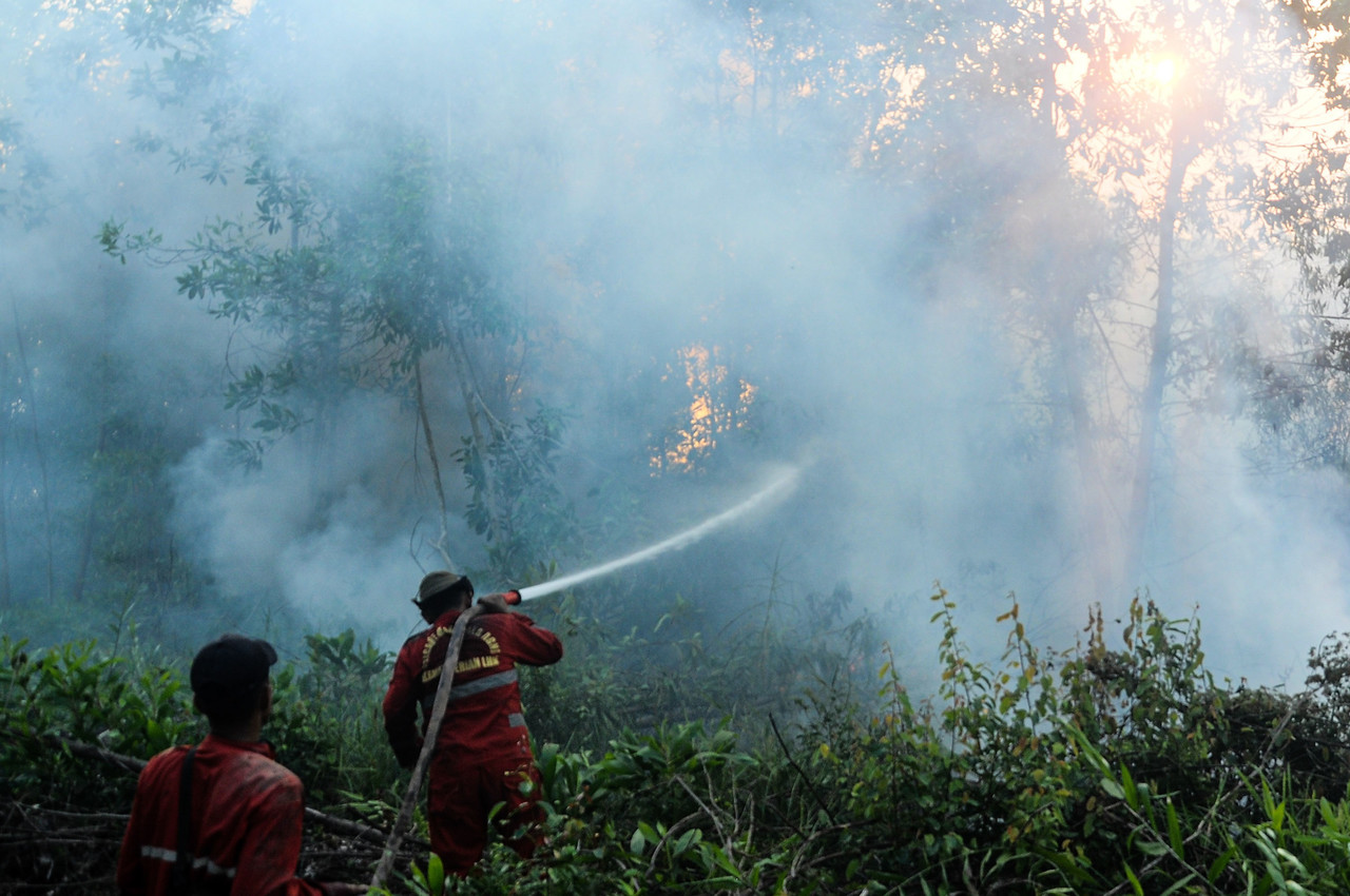 Riau declares haze emergency as API hits above  500