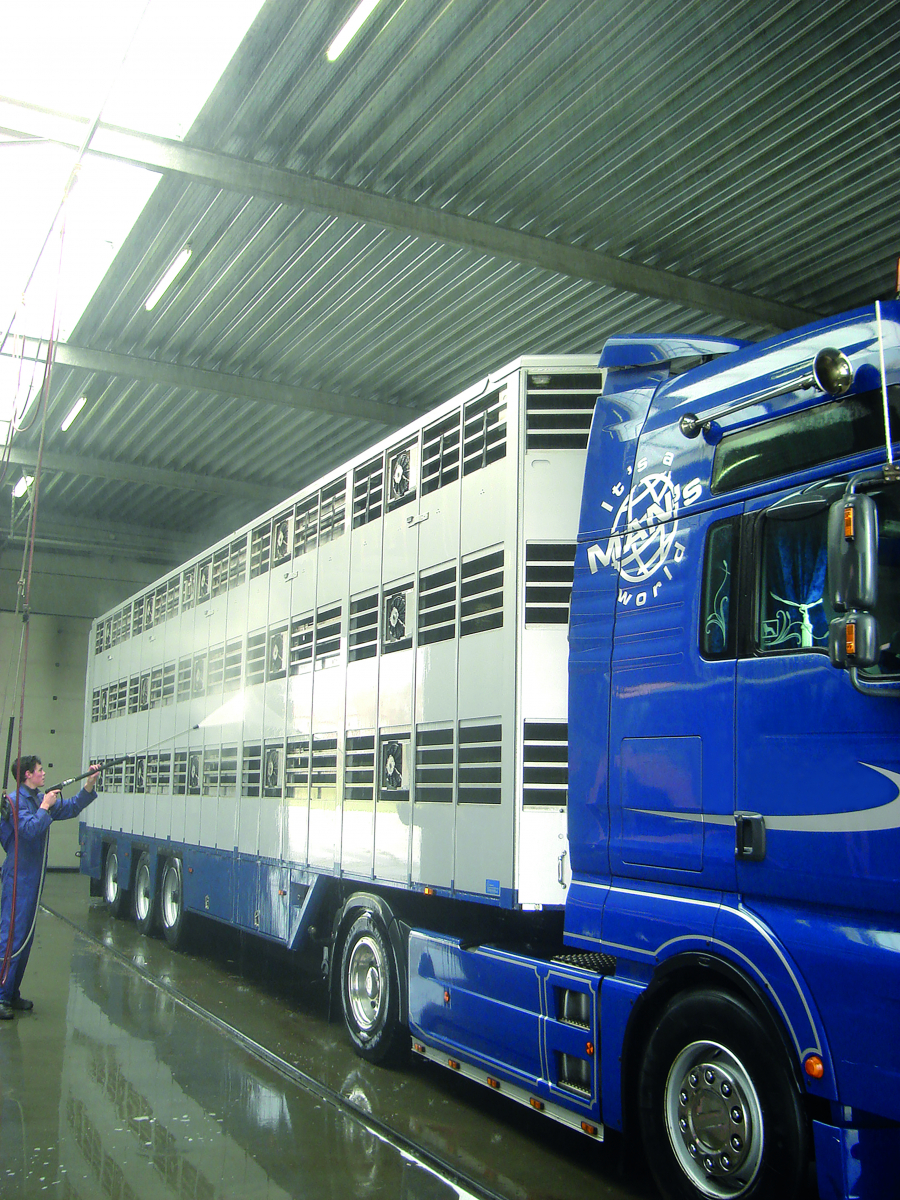 Bosnia Bans Import Of Swine, Its Products From Serbia, Due To Suspicion Of African Swine Fever