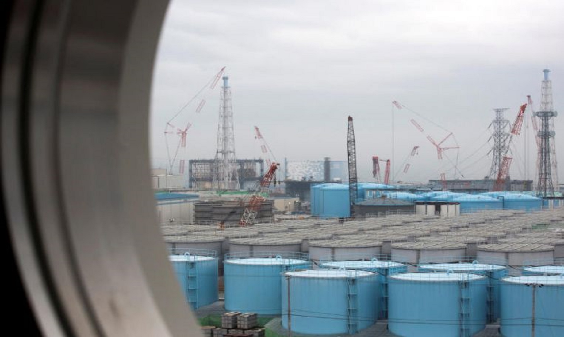Nuclear Plant Operator In Western Japan Apologises For Series Of Mishaps