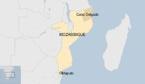 Mozambique: Militants attack second town in gas-rich region