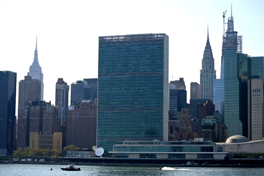 Covid-19: UN Security Council halts meetings due to coronavirus epidemic
