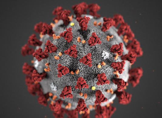 Covid-19: Global coronavirus death toll tops 7,000