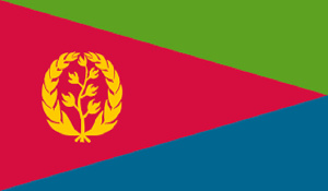 Eritrean activists ‘sue EU over forced labour project’