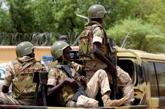 Mali army kills 30 militants in raid