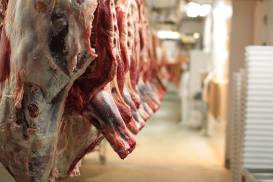 Covid-19: More than 100 virus infections in French slaughterhouse