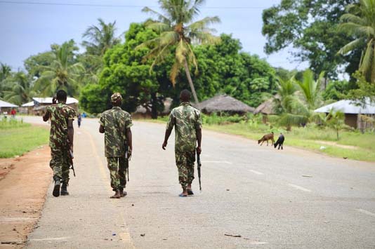 Mozambique soldiers killed another 50 militants this week : govt