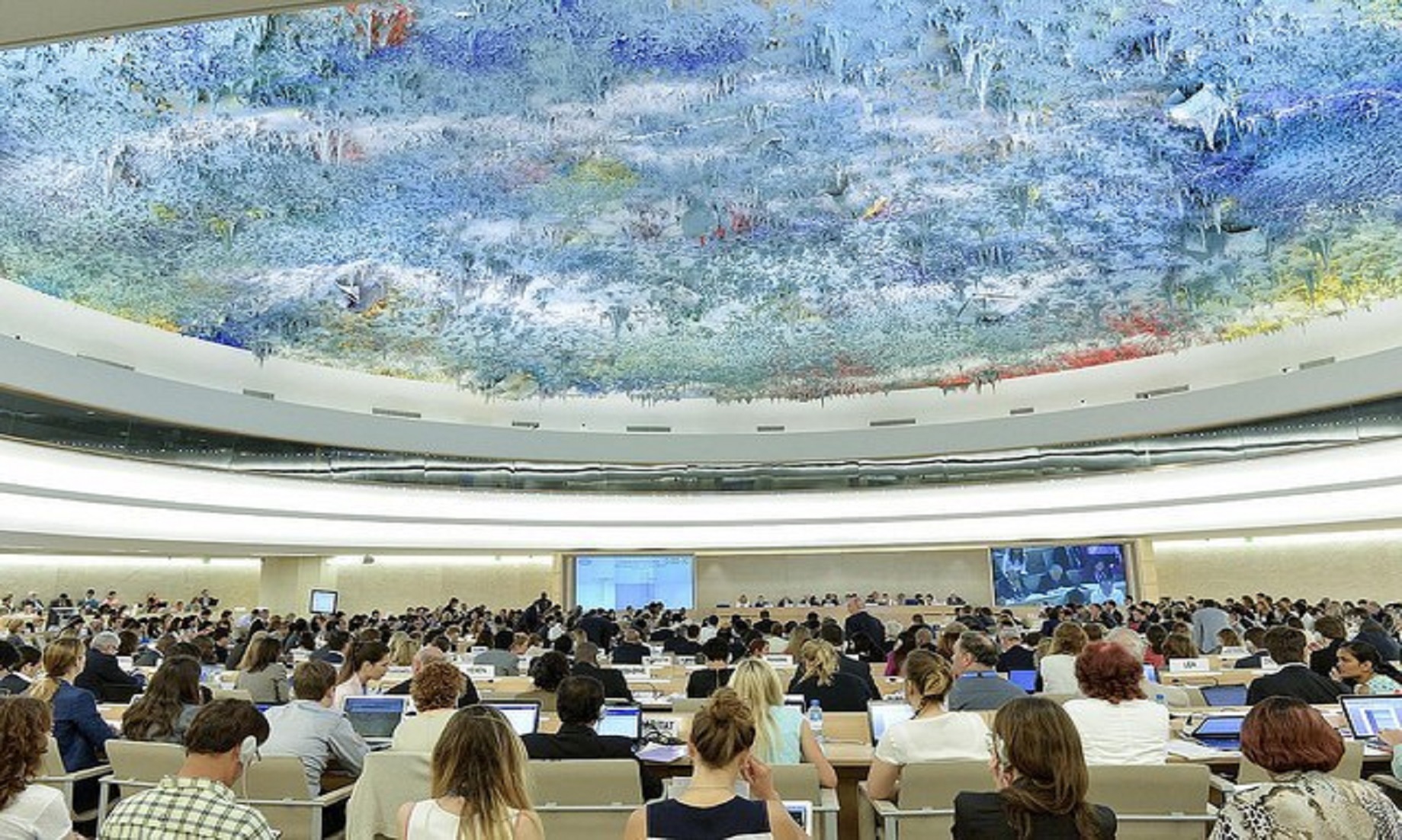 UN Human Rights Council Adopts Three Resolutions In Favour Of Palestine: Minister