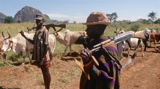Cattle thieves kill 10 vigilantes in Nigeria: police