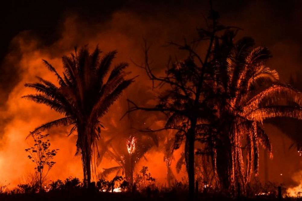 Brazilian Amazon sees worst June in 13 years for forest fires