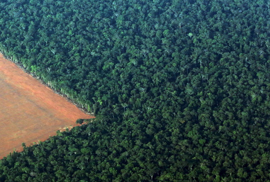 Investors want ‘results’ on deforestation in Brazil: VP Mourao