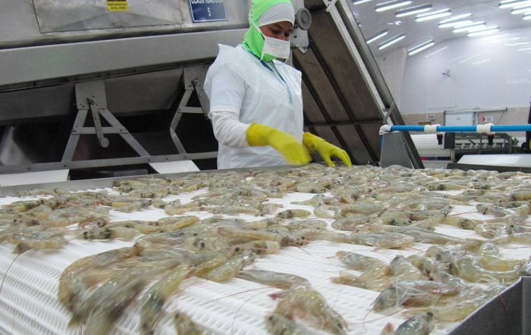 Ecuador expects shrimp exports to China to resume soon after Covid-19 dispute