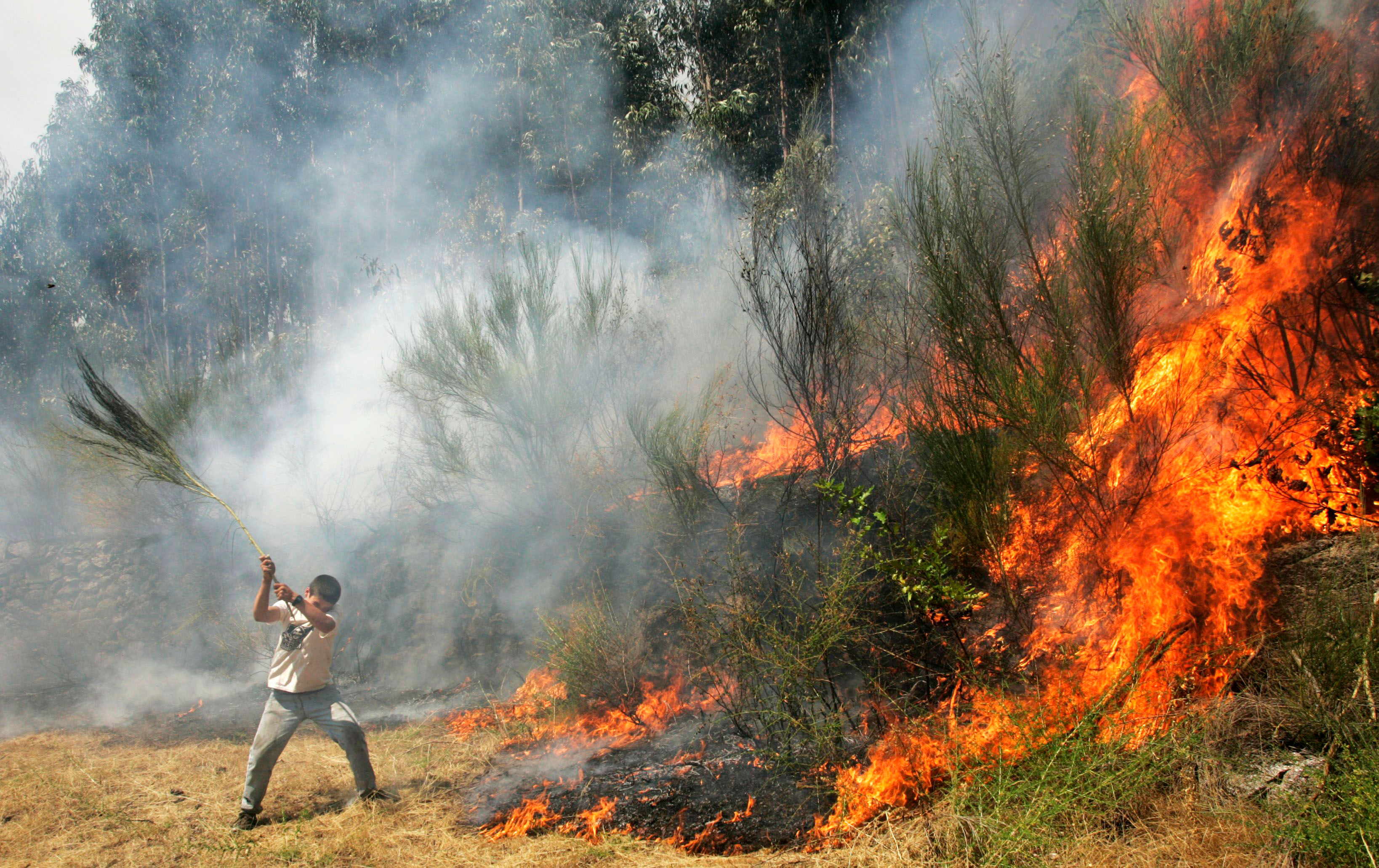 Forest Fires Break Out In Central Argentina