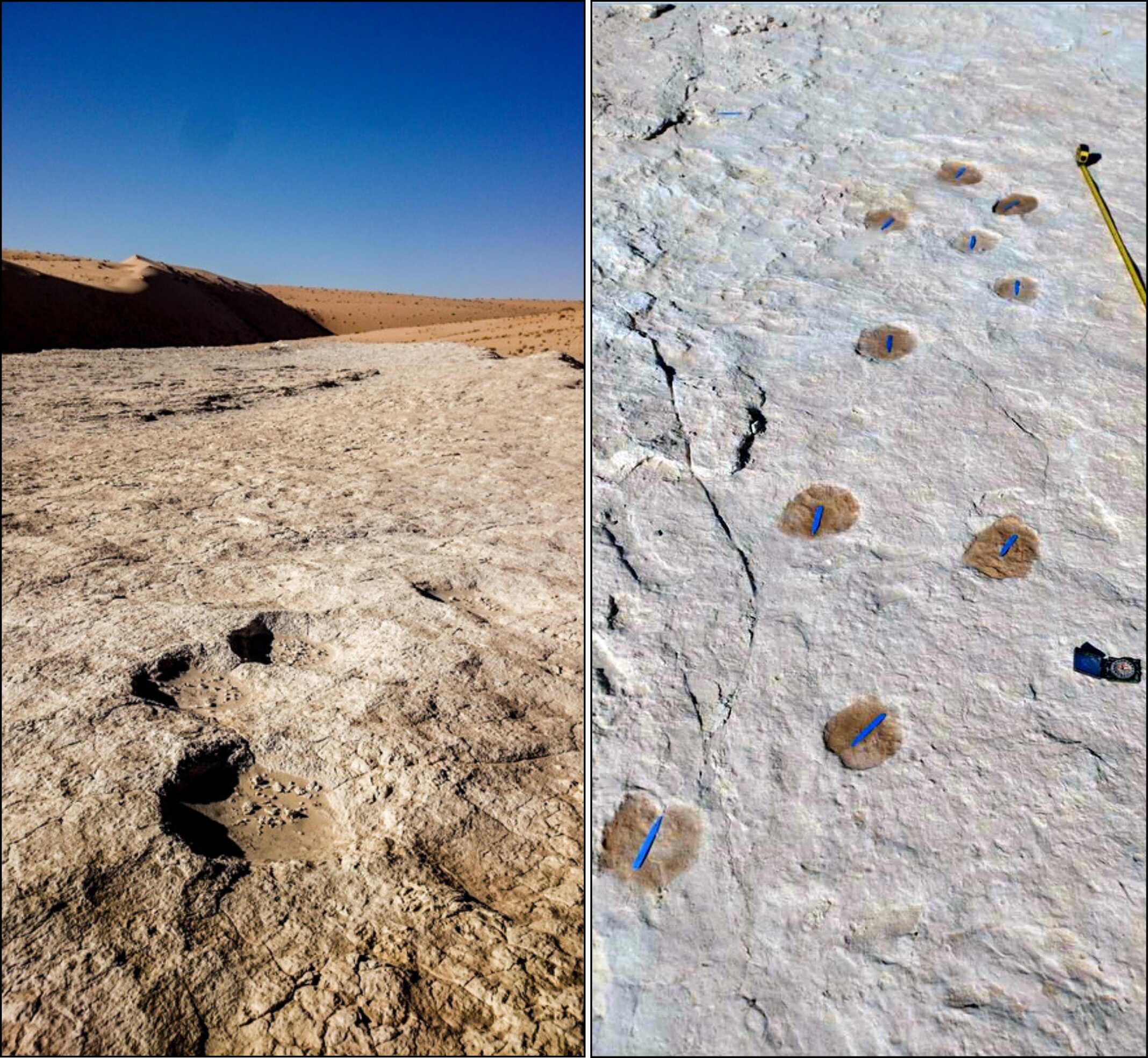 Saudi Arabia Uncovers Ancient Footprints
