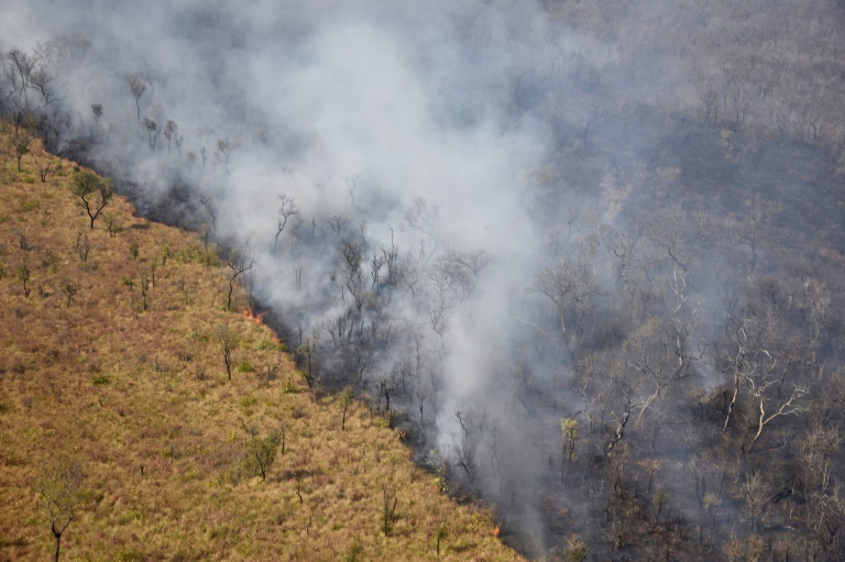 Bolivia’s interim gov’t declares national emergency over forest fires