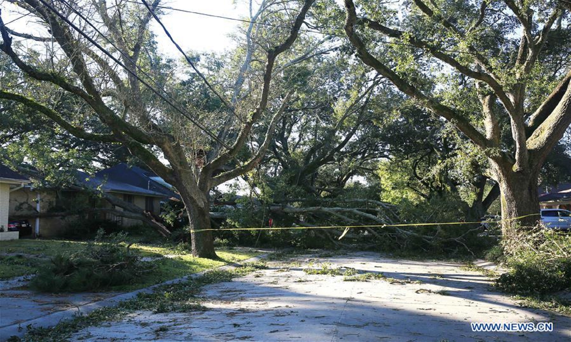 Hurricane Zeta Leaves Half Million Without Power In U.S. Louisiana
