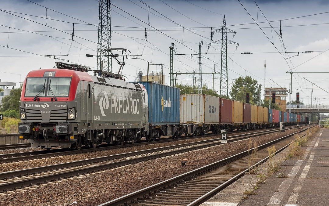 Polish dairy products arrive in China by train – first-ever between the two countries