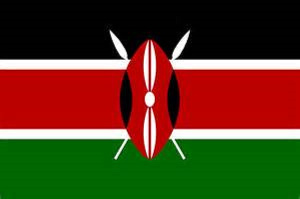 Covid-19: Two people die in Kenya brawl after bars reopen