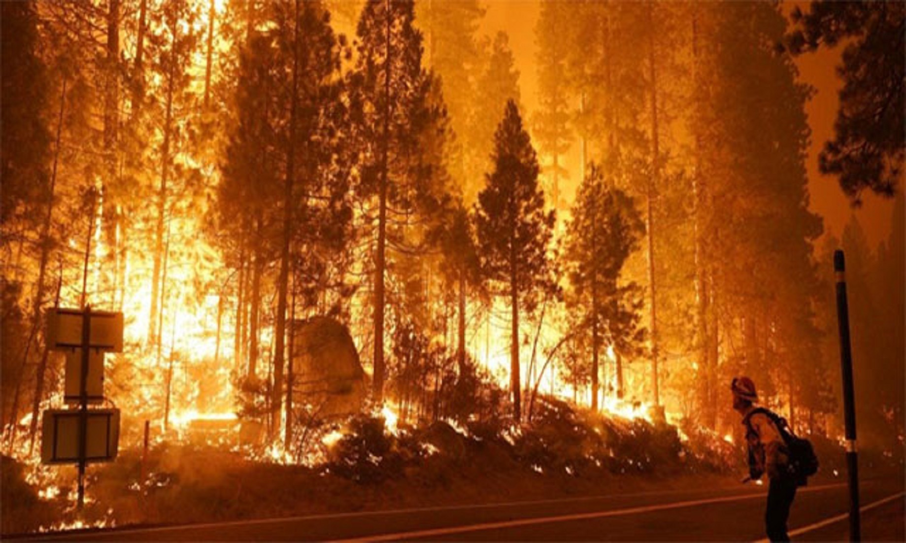 US: Wildfires burn over 4.1 mln acres in California – Cal Fire summary