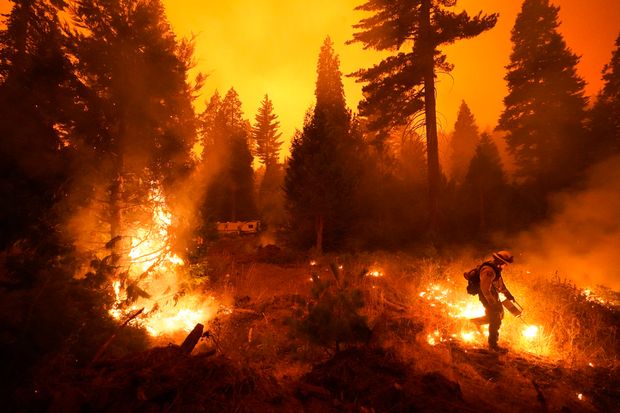 US wildfires: Federal govt approves California’s request for wildfire relief funds