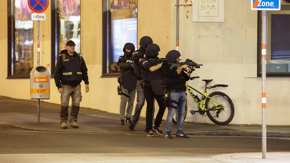 Update: At least one Daesh sympathiser behind Vienna attack, Austrian minister says