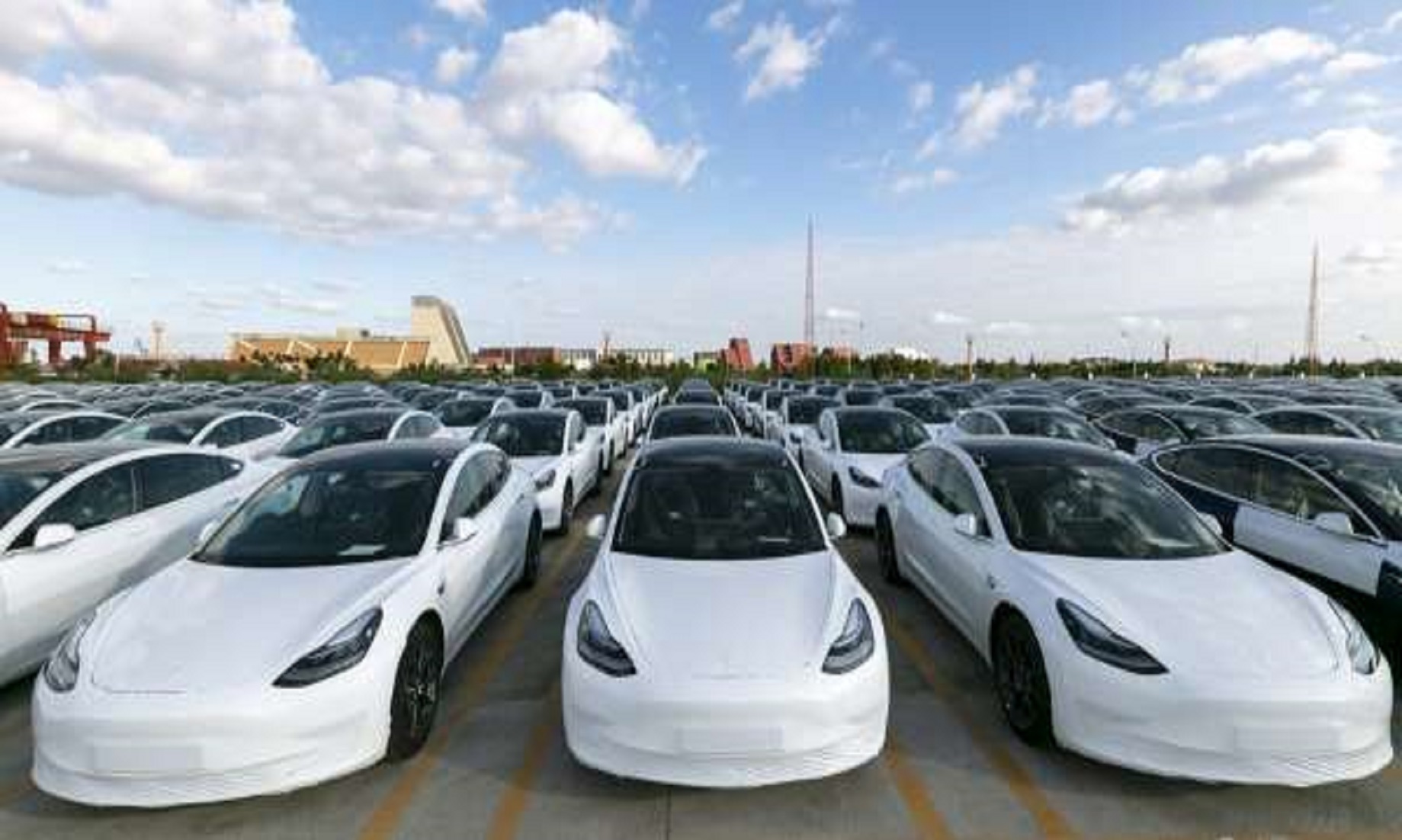 First Batch Of China-Made Tesla Sedans Arrives At Belgium’s Zeebrugge Port
