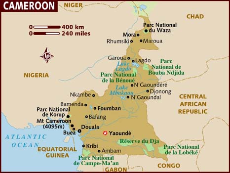 Cameroon bus accident kills at least 37