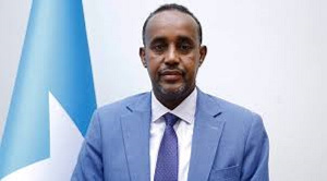 Somalia’s opposition cancels controversial rally after PM Roble intervenes