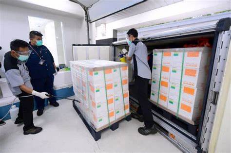 Additional Batch Of China’s Sinovac Vaccine Arrives In Philippines