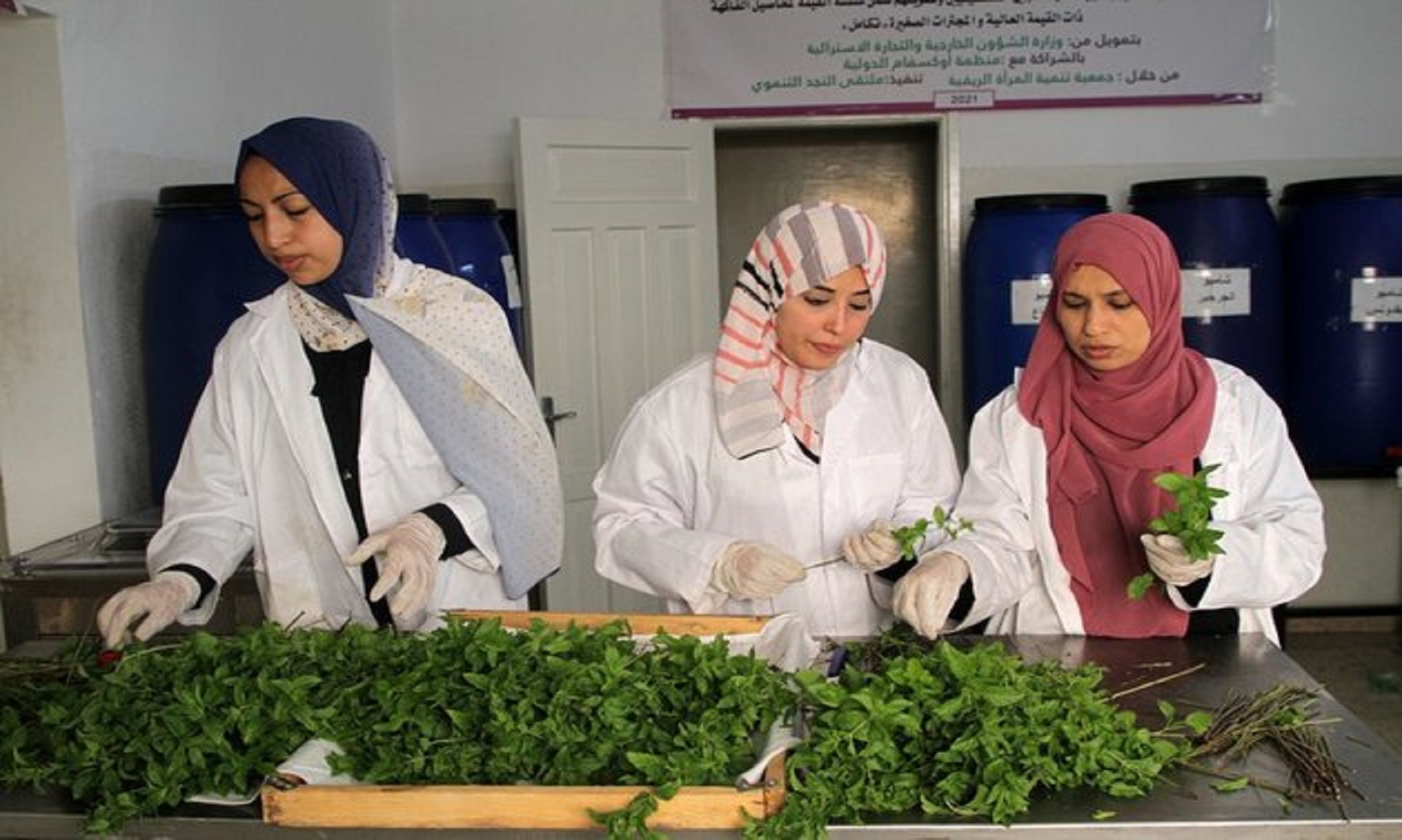 Feature: Gazan Women Produce Plant-Based Natural Cosmetics