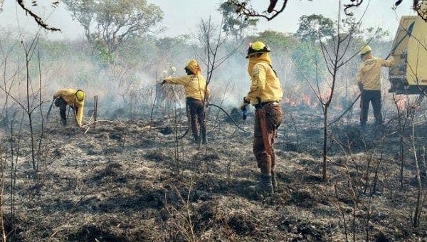Costa Rica & Canada strengthen wildfire management cooperation