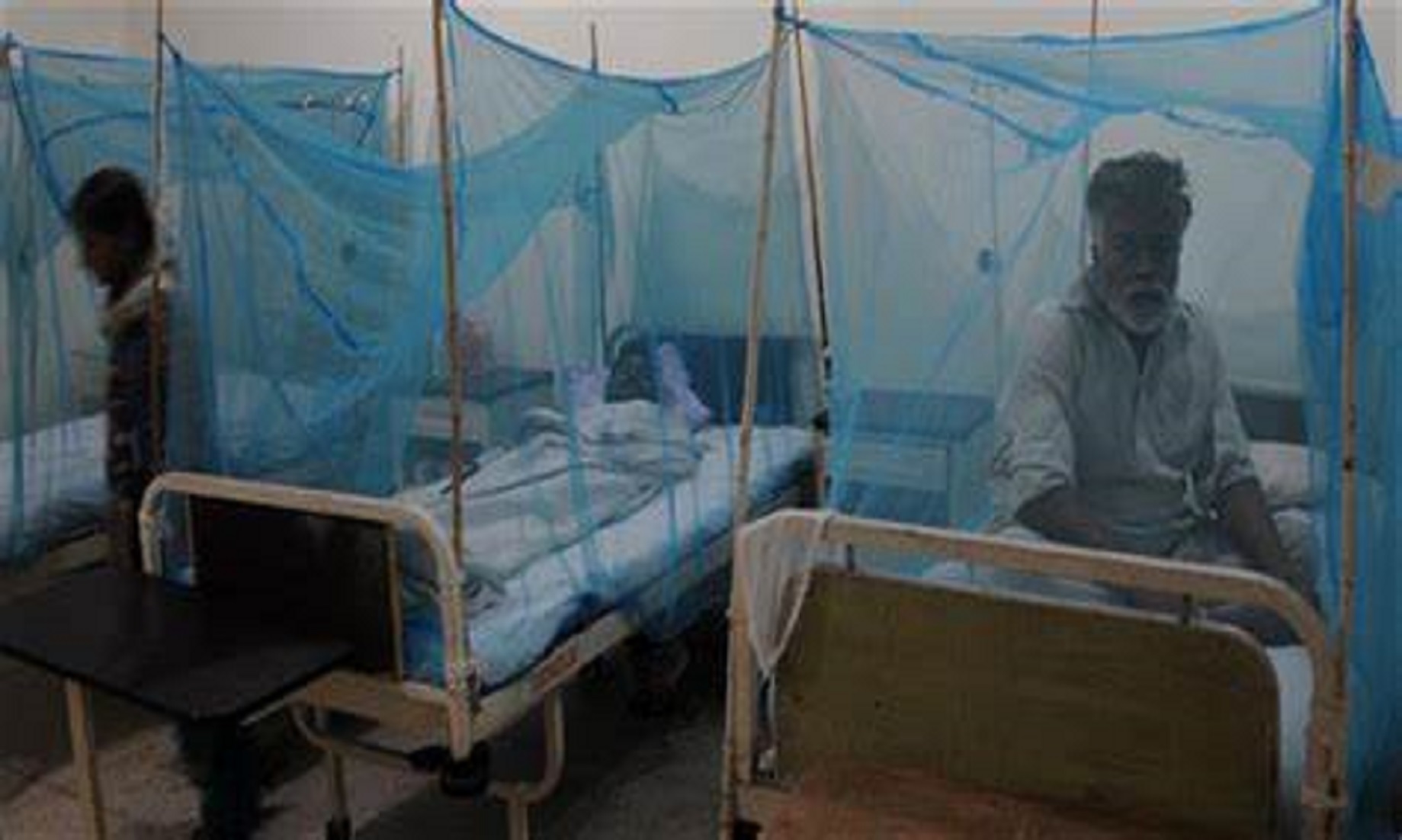 Pakistan Sees Continuous Rise In Dengue Cases