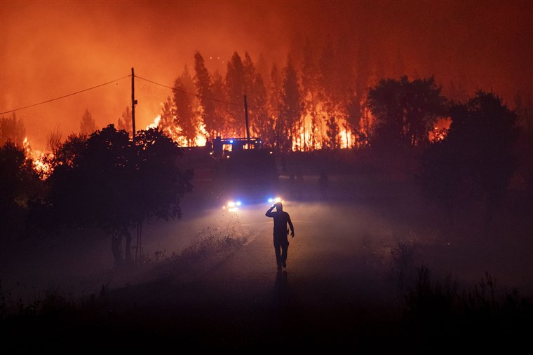 Wildfire In U.S. Produces Widespread Ecological Damage To River System: Survey