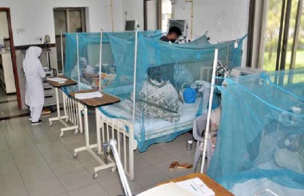 Pakistani Capital Sees Growing Dengue Fever Cases