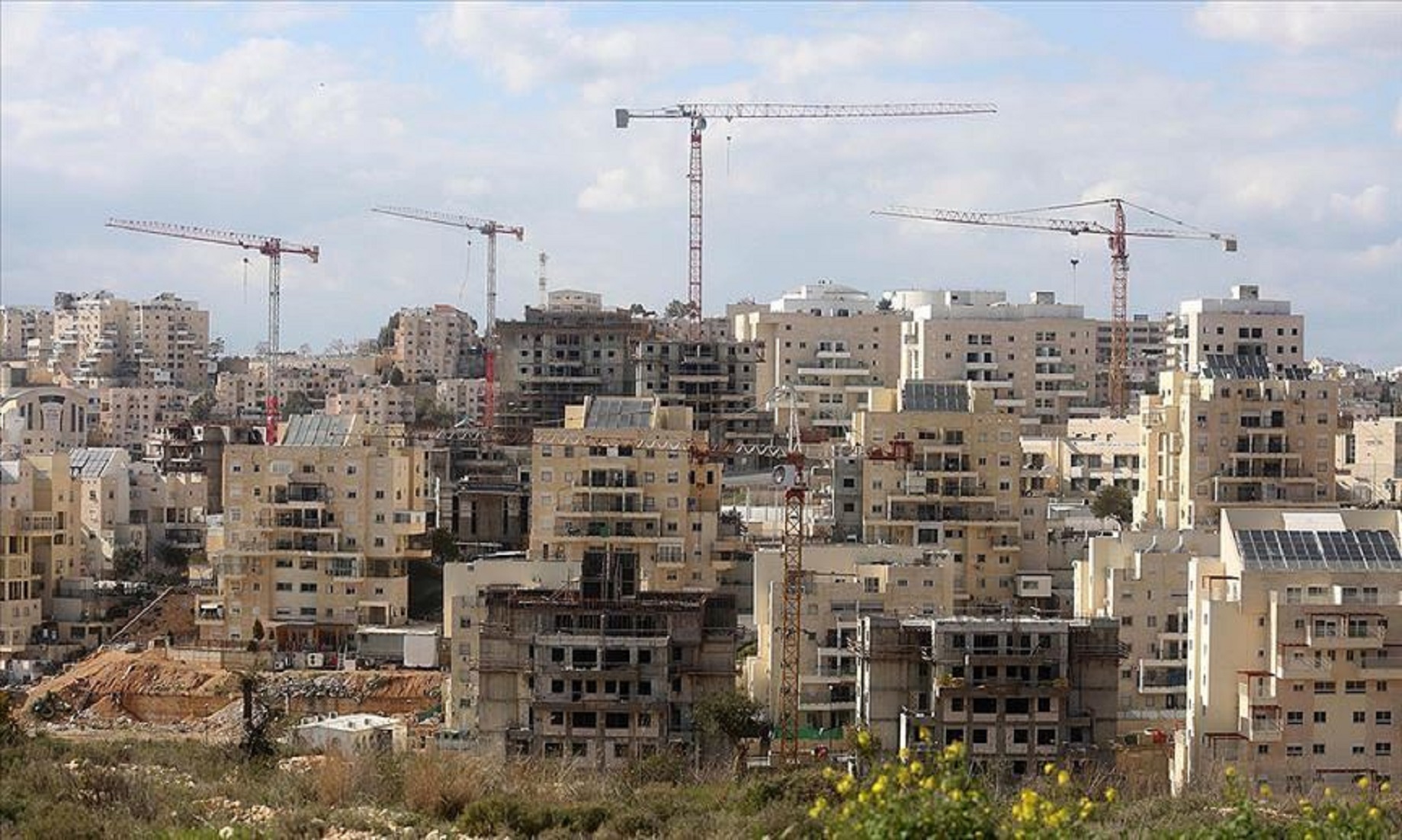 Palestine Condemns The Building Of New Israeli Settlement In The West Bank