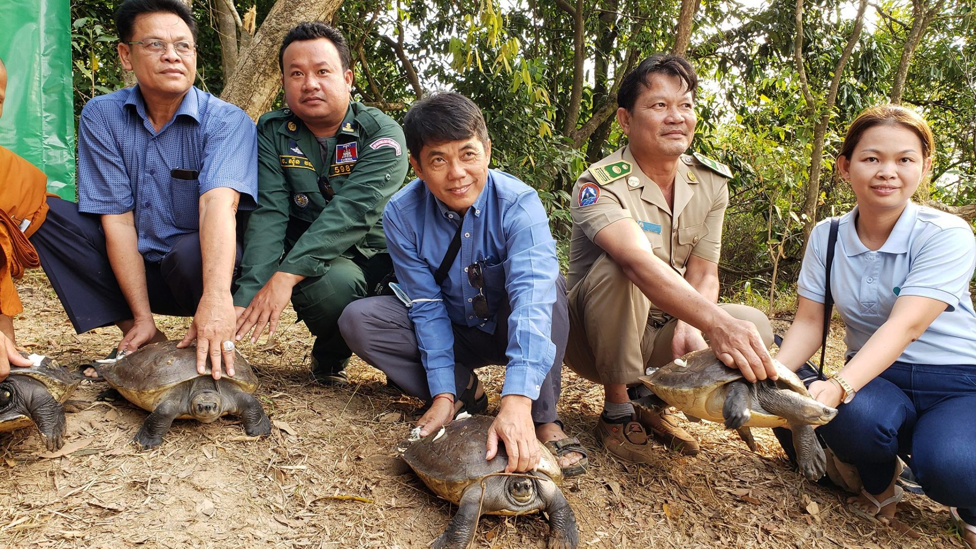 51 Rare Royal Turtles Freed Into Natural Habitat In SW Cambodia