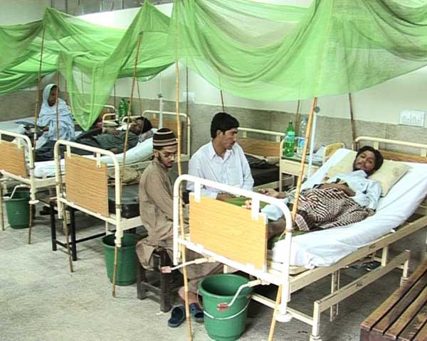 Four More Fatalities Raise Death Toll Of Dengue Fever To 137 In Pakistan’s Punjab
